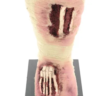 EUROPALMS Halloween Egyptian mummy - cover