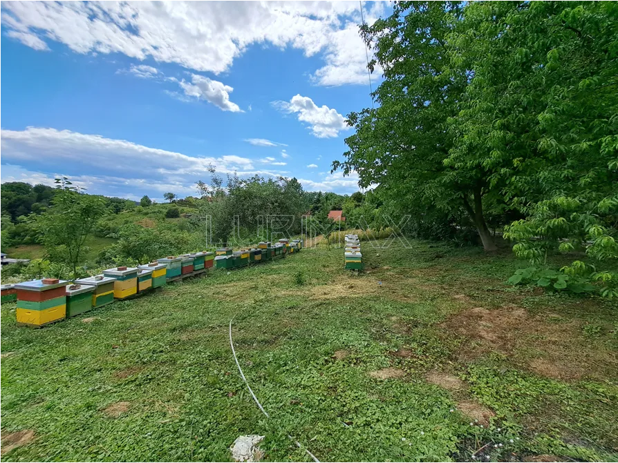 Fotografija