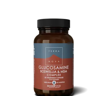 TN GLUKOZAM/BOSWELIA/MSM - cover