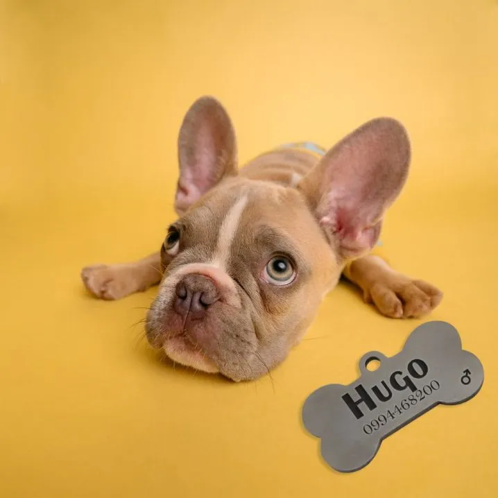 Personalizirani privjesak za pse – kost - cover