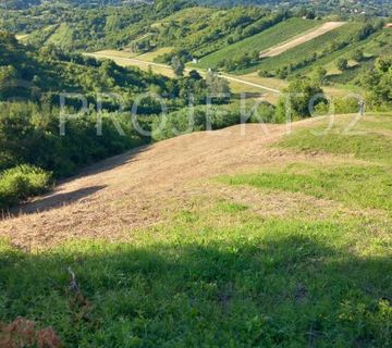 Građevinsko zemljište sa građ. dozvolom, Jastrebarsko, Malunje, 8061m2 - cover