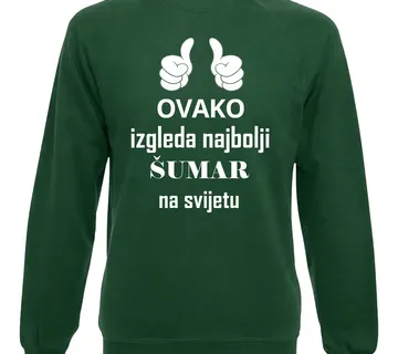 Pulover za najboljeg šumara - cover