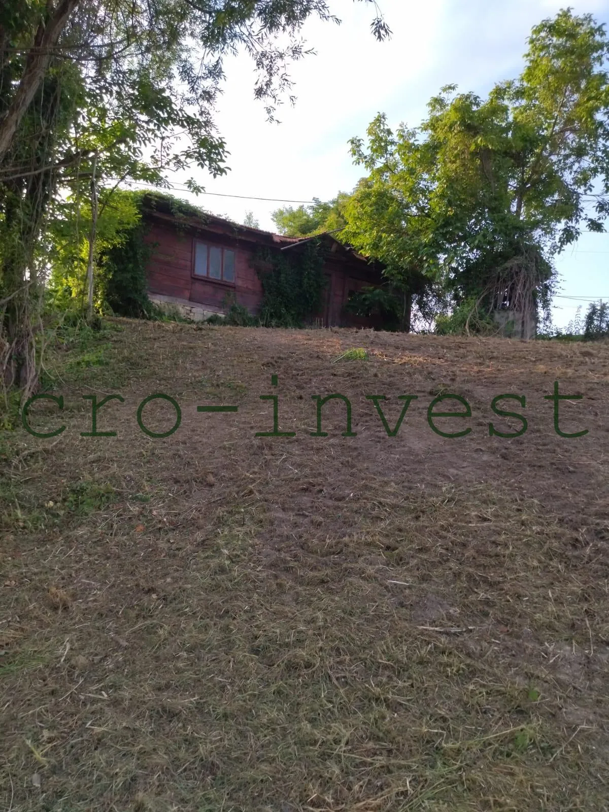Fotografija