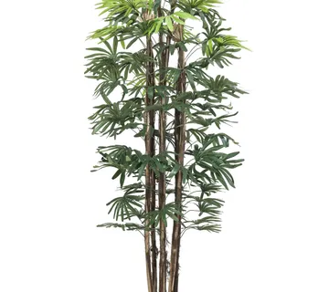 EUROPALMS Raphis palm tree, 180cm - cover
