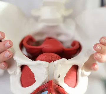 Paket fizioterapije (4 susreta) - cover