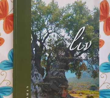 Morgan Yasbincek - Liv - cover