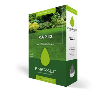 EMERALD RAPID - cover