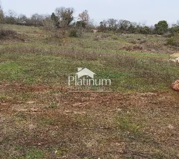 Istra,Šišan POVOLJNO poljoprivredne parcele 500 m2 - cover