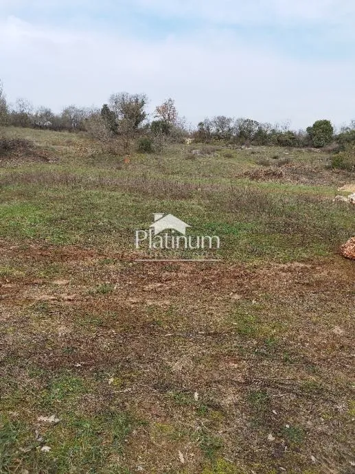 Istra,Šišan POVOLJNO poljoprivredne parcele 500 m2 - cover