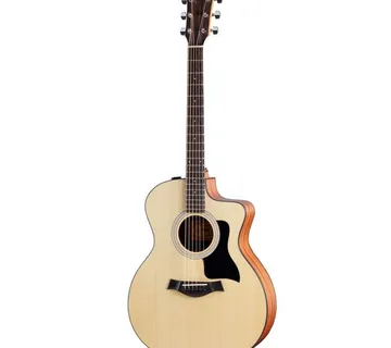 TAYLOR 114ce-S SPECIAL EDITION - cover