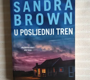 S. BROWN U POSLJEDNJI TREN - cover