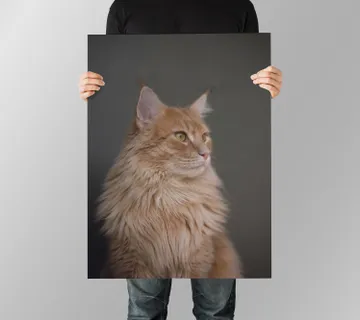 Poster sa fotografijom kućnog ljubimca - cover