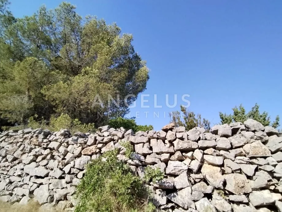 Šolta, Gornje Selo - polj.zemljište sa pogledom na more, 6700 m2 - cover