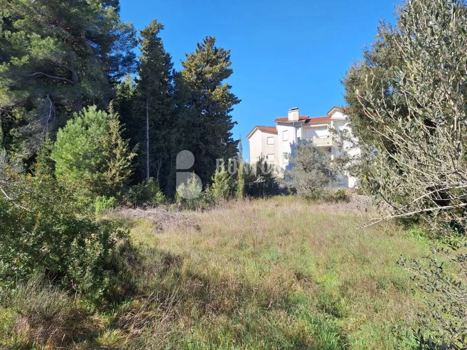 Fotografija