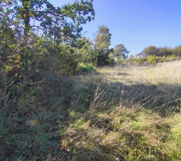 Istra Barban građevinsko zemljište 1,465 m2