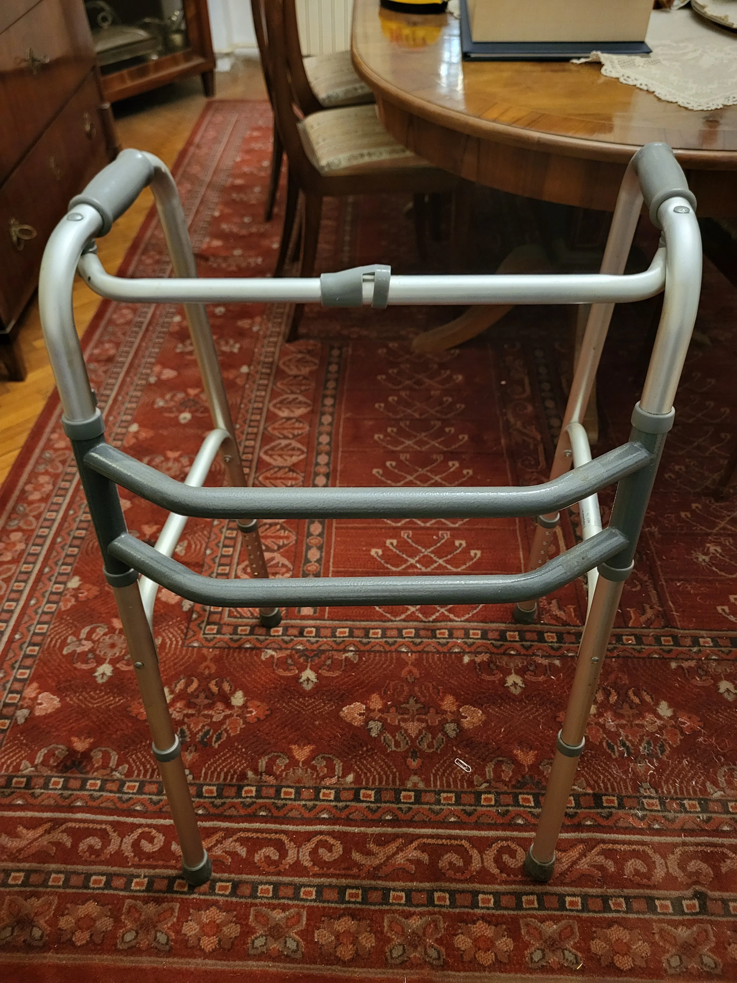 POMOĆ PRI HODANJU - cover