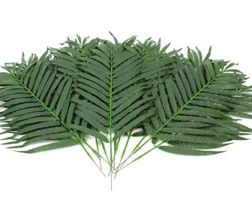 EUROPALMS Coconut palm branch 80cm 12x - cover
