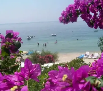 Apartmani Petar Vlašić - cover