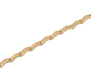 Zlatna ogrlica Asha - cover