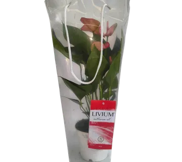 UKRASNA VREĆICA - cover