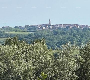 Građevinsko zemljište s pogledom na more, vinograde i Alpe (551 m²), B - cover