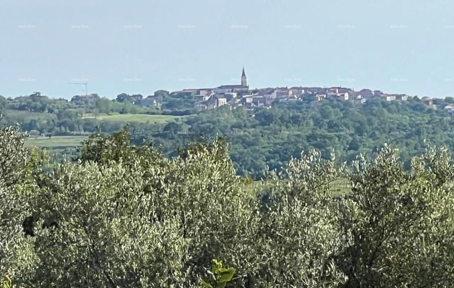 Fotografija
