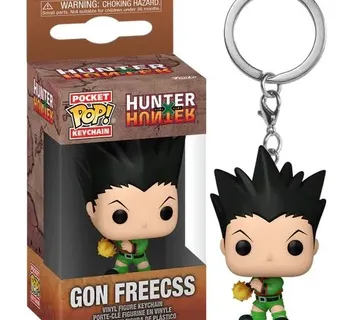 Privjesak Pocket POP HxH Gon Freecss - cover
