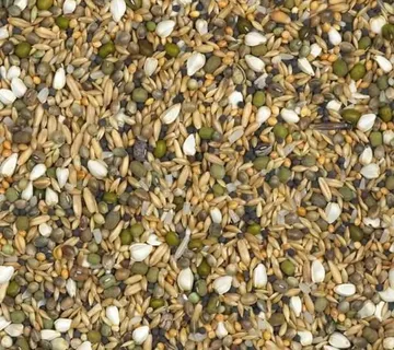 SNEAKY MIXTURE 25kg BR.27 - cover