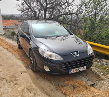 Peugeot 407 - cover