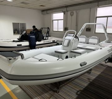 Desner Sport 480 - cover