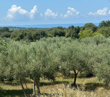 VABRIGA-GRAĐEVINSKO ZEMLJIŠTE POGLED MORE NA PRODAJI - cover