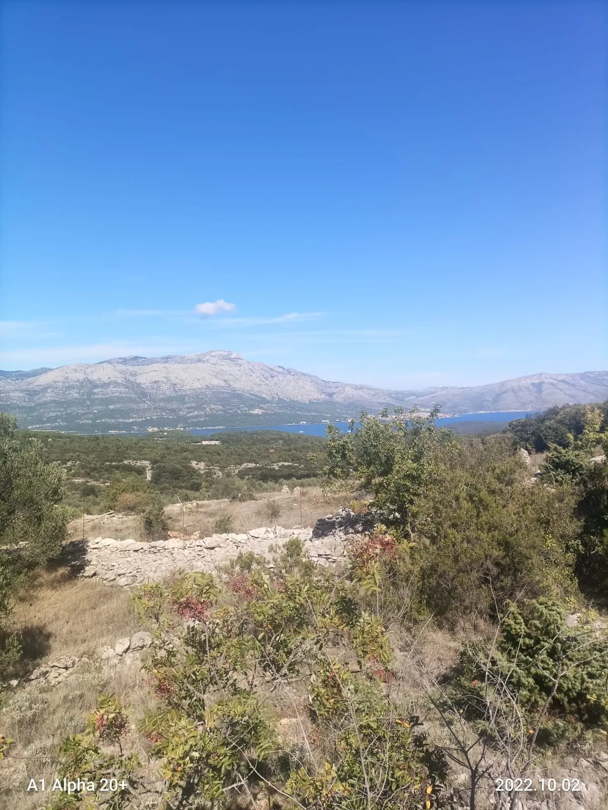 Fotografija