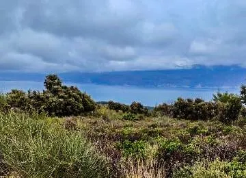 BRAČ-7.388m2 zemljišta s maslinikom, vinogradom i pogledom na more - cover