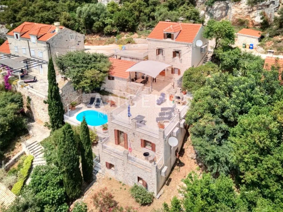 Pelješac, Viganj, renovirana kamena kuća s bazenom - PRODAJA - cover