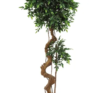 EUROPALMS Ficus bonsai trunk, 170cm - cover