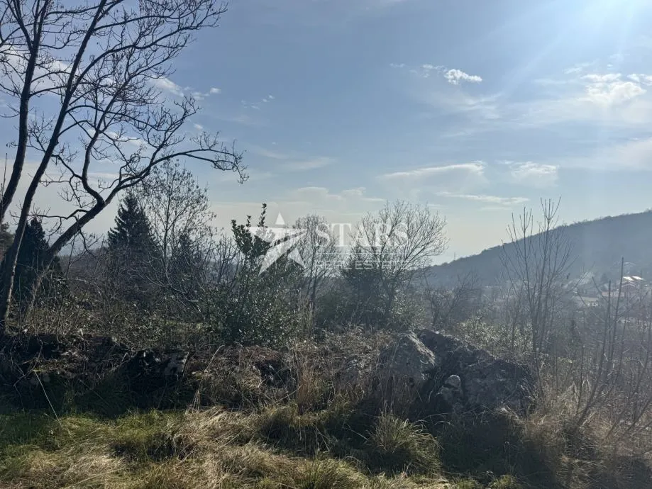 Fotografija