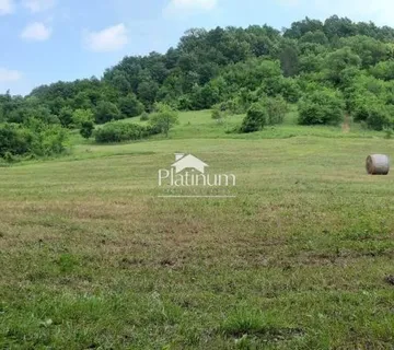 Istra,Pazin šuma na prodaju - cover