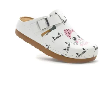 ANATOMSKE KLOMPE, Šareno, JHDD - cover