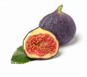 Smokva *Fruit Club* - cover