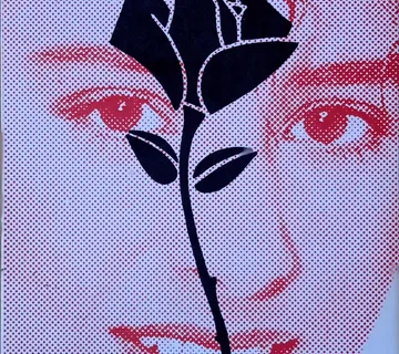 CRNE RUŽE Pjesme Mirko Krnić SPLIT 1988 - cover