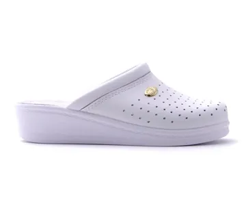 ANATOMSKE KLOMPE, Bijela, JICC - cover