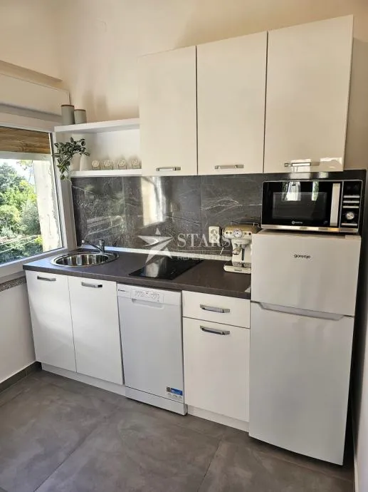 Rijeka, širi centar, adaptirana dva stana, 1s+db + garsonijera - cover