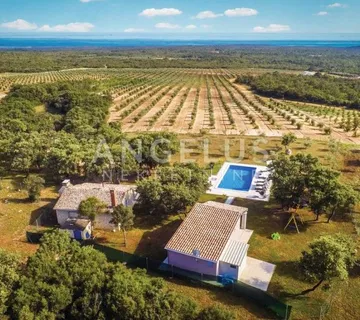 Istra, Rovinj - 2 kuće s bazenom, zemljištem i šumom (prodaja) - cover