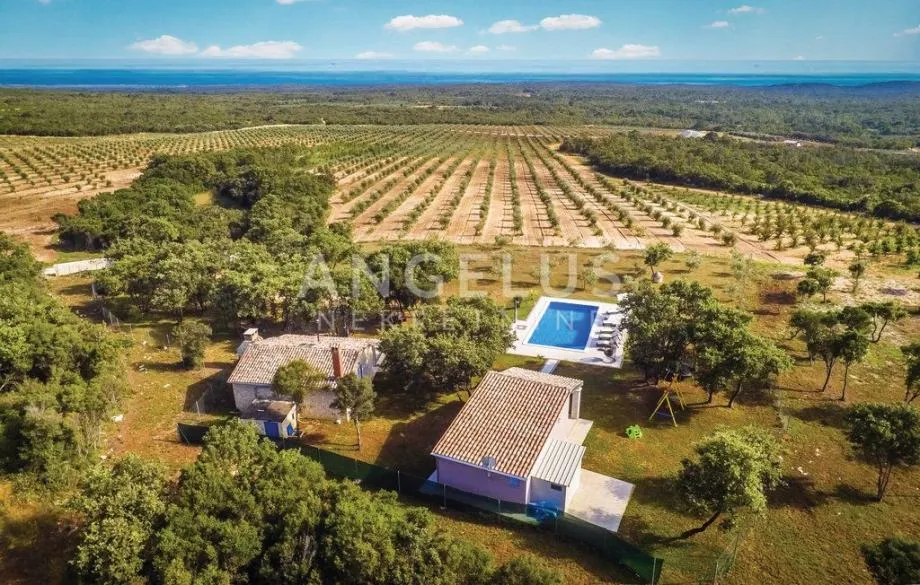 Istra, Rovinj - 2 kuće s bazenom, zemljištem i šumom (prodaja) - cover