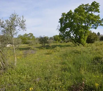 POREČ OKOLICA -GRAĐEVINSKO ZEMLJIŠTE NA PRODAJI - cover