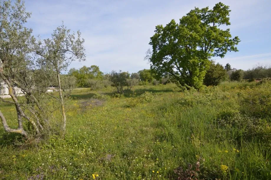 POREČ OKOLICA -GRAĐEVINSKO ZEMLJIŠTE NA PRODAJI - cover