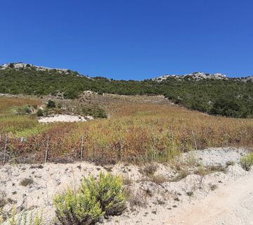 Poljoprivredno zemljište u Donjoj Vrućici, Pelješac, 40.632 m2 - cover