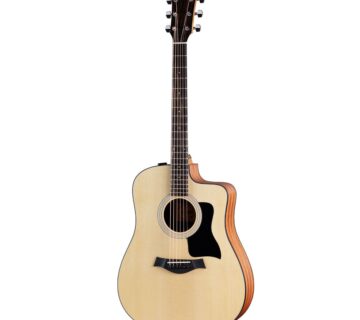 TAYLOR 110ce-S SPECIAL EDITION - cover