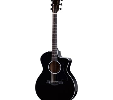 TAYLOR 214ce-BLK PLUS - cover