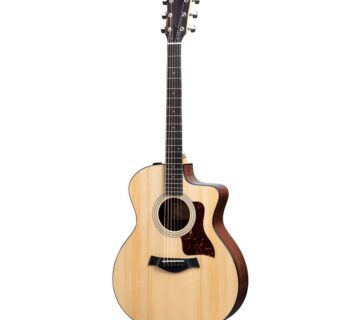 TAYLOR 214ce PLUS - cover